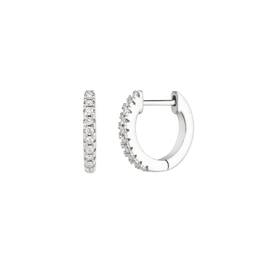 Single Hoop Earrings